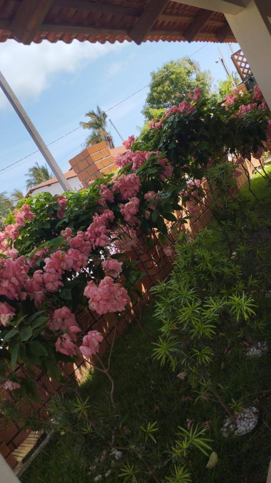Pousada Dos Lagos Paulino Neves エクステリア 写真